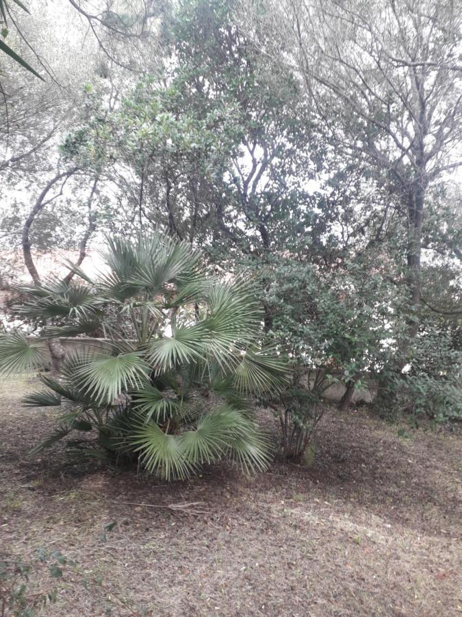 B&B Nuraghes Olbia Kültér fotó
