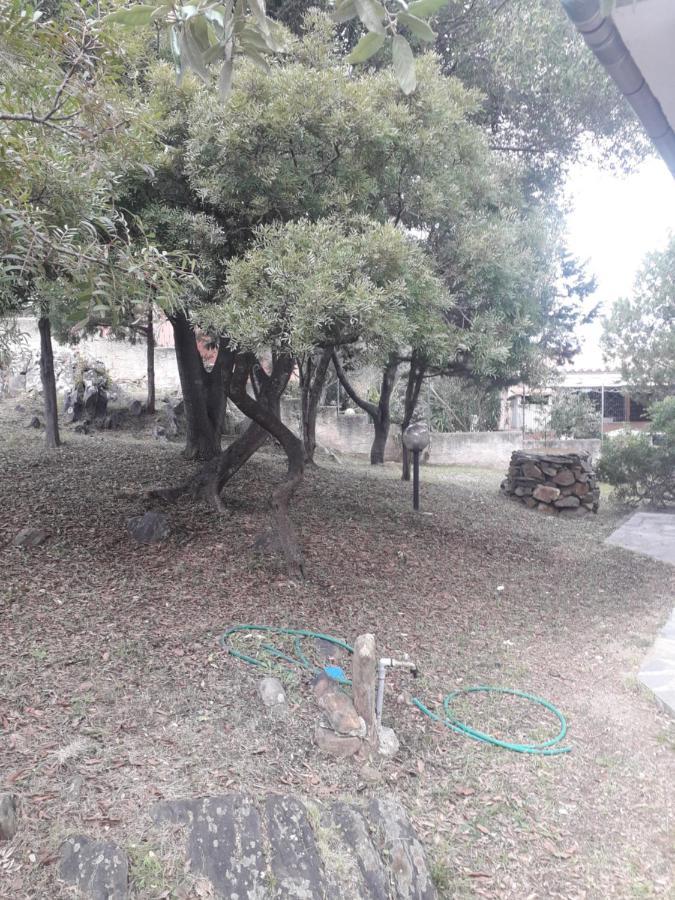 B&B Nuraghes Olbia Kültér fotó