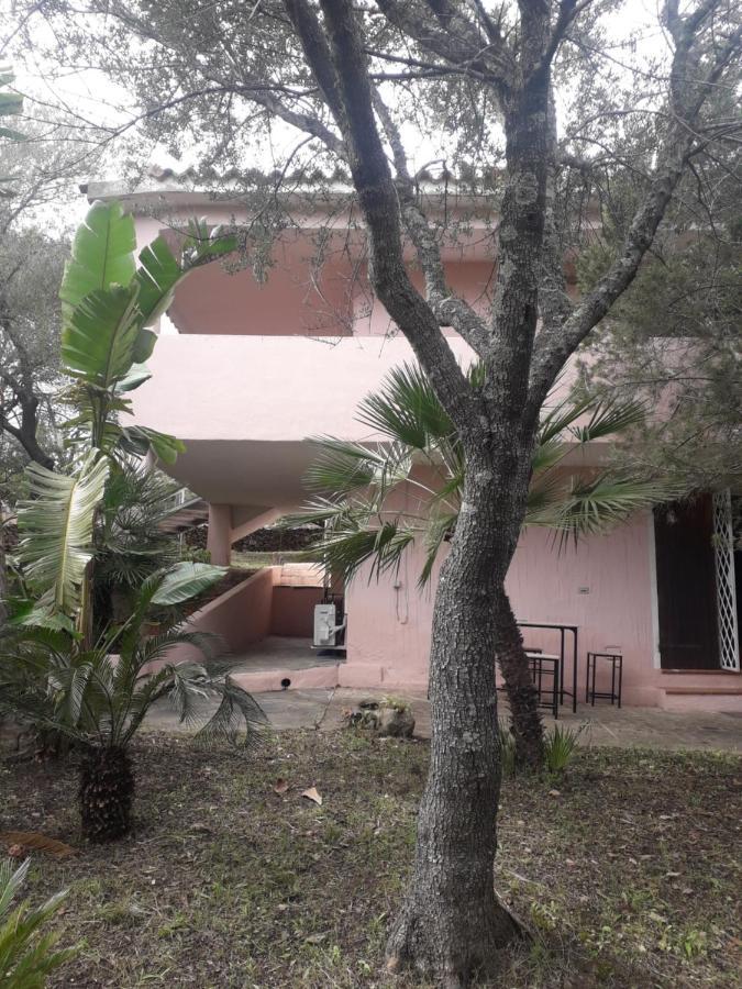 B&B Nuraghes Olbia Kültér fotó