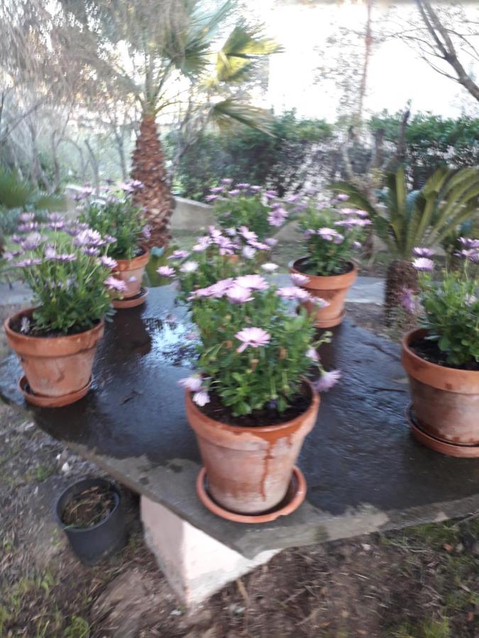 B&B Nuraghes Olbia Kültér fotó