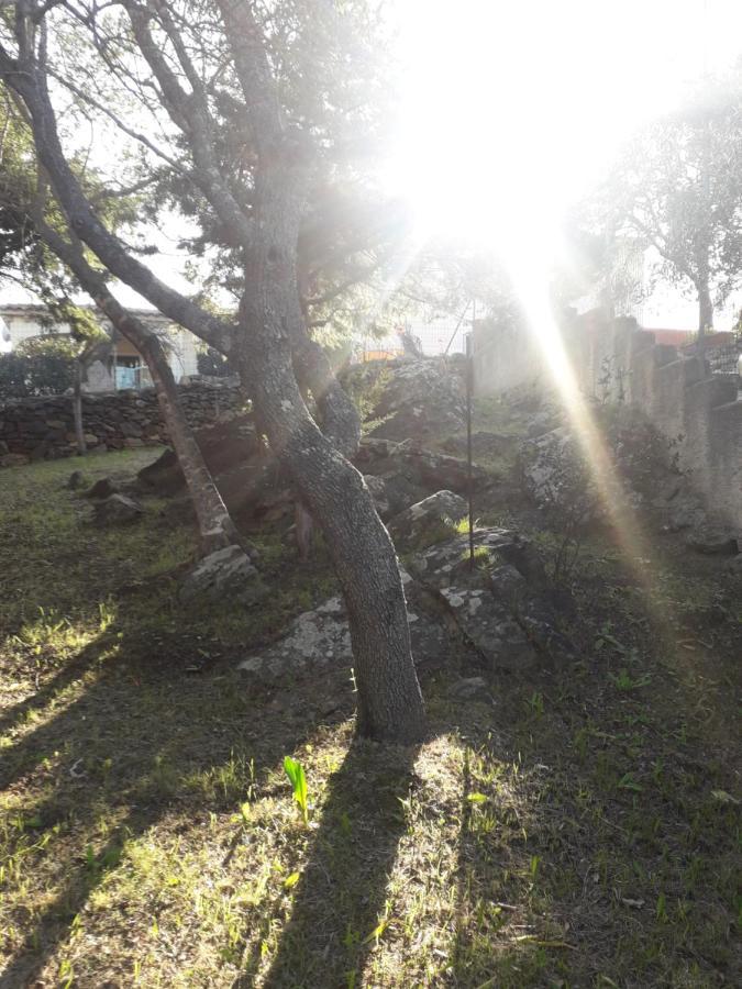 B&B Nuraghes Olbia Kültér fotó