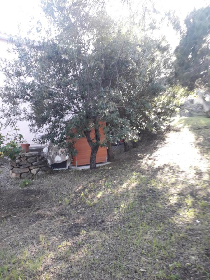 B&B Nuraghes Olbia Kültér fotó